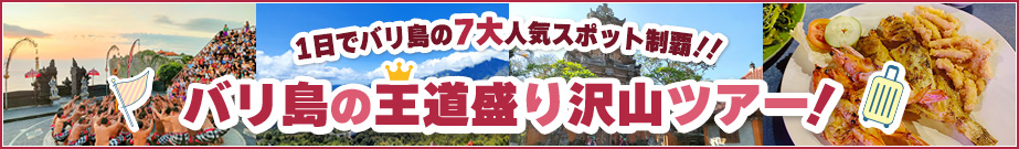 �����ǥХ��磷��͵����ݥå����ơ����Х���β�ƻ���������ĥ����Ϥ�����