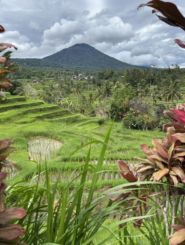 母親と初海外-5