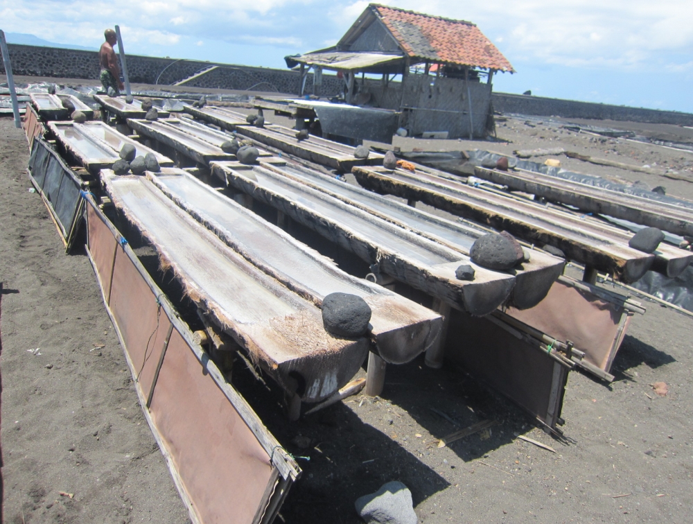 日本語ガイドと専用車チャーター